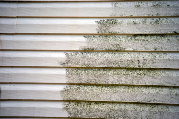 Best Siding Removal and Disposal  in Kemp Mill, MD