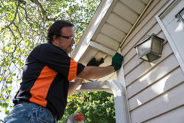 Professional Siding in Kemp Mill, MD